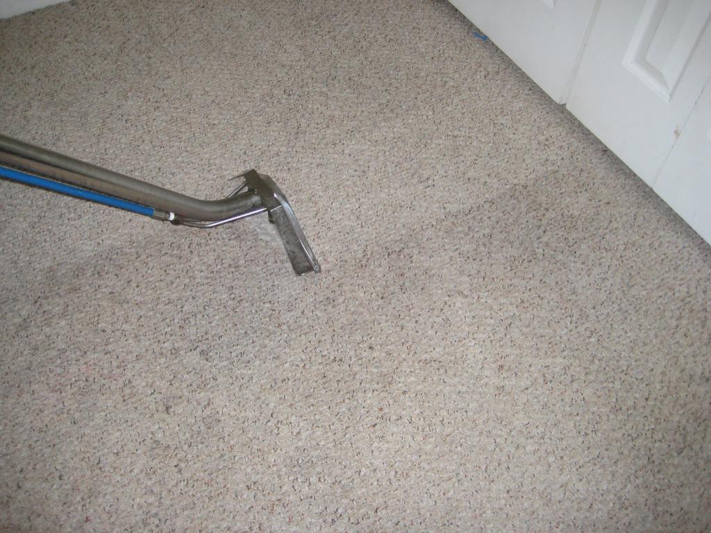 Car Carpet Car Carpet Cleaning Jacksonville Fl